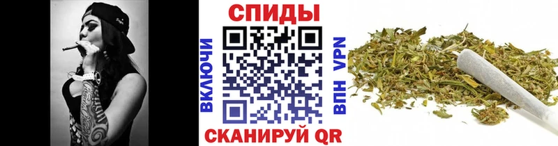 Бутират буратино  Кириллов 