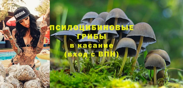 2c-b Краснотурьинск