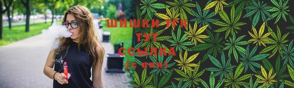 соль ск Козловка